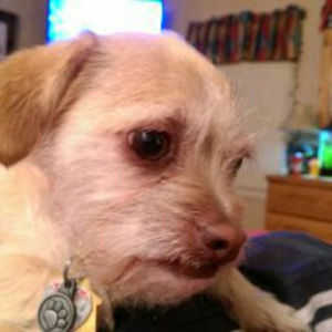 Meet your Posher, Garrett